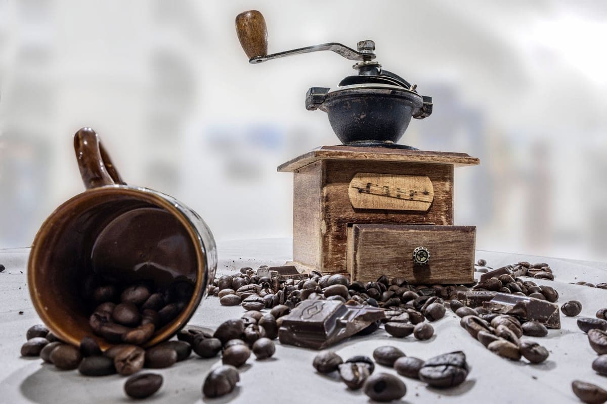Burr vs Blade Coffee Grinder: Which Should You Buy?