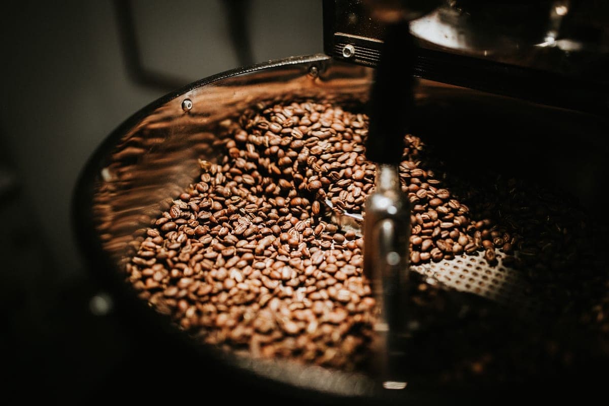 How to Store Coffee Beans So They Stay Fresh